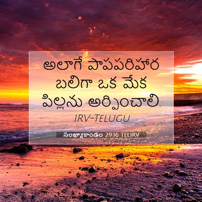 Picture 07 - సంఖ్యాకాండం 29:16 TELIRV - అలాగే పాపపరిహార - Bible Verse Picture