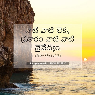 Picture 07 - సంఖ్యాకాండం 29:18 TELIRV - వాటి వాటి లెక్క - Bible Verse Picture