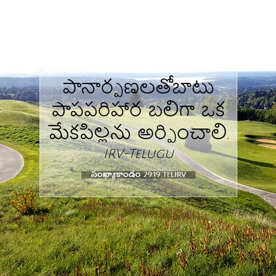 Picture 07 - సంఖ్యాకాండం 29:19 TELIRV - పానార్పణలతోబాటు - Bible Verse Picture