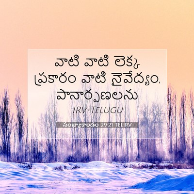 Picture 07 - సంఖ్యాకాండం 29:21 TELIRV - వాటి వాటి లెక్క - Bible Verse Picture