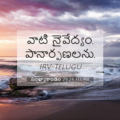 Picture 07 - సంఖ్యాకాండం 29:24 TELIRV - వాటి నైవేద్యం, - Bible Verse Picture
