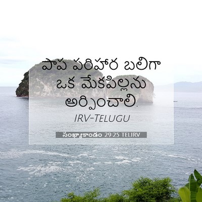 Picture 07 - సంఖ్యాకాండం 29:25 TELIRV - పాప పరిహార బలిగా - Bible Verse Picture
