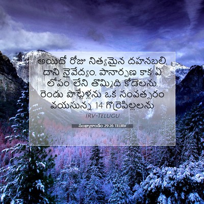 Picture 07 - సంఖ్యాకాండం 29:26 TELIRV - అయిదో రోజు - Bible Verse Picture