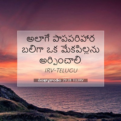 Picture 07 - సంఖ్యాకాండం 29:28 TELIRV - అలాగే పాపపరిహార - Bible Verse Picture