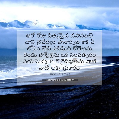 Picture 07 - సంఖ్యాకాండం 29:29 TELIRV - ఆరో రోజు నిత్యమైన - Bible Verse Picture