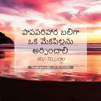 Picture 07 - సంఖ్యాకాండం 29:38 TELIRV - పాపపరిహార బలిగా - Bible Verse Picture