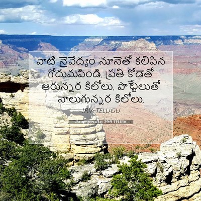 Picture 07 - సంఖ్యాకాండం 29:9 TELIRV - వాటి నైవేద్యం - Bible Verse Picture