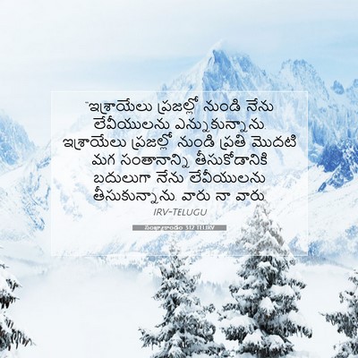 Picture 07 - సంఖ్యాకాండం 3:12 TELIRV - “ఇశ్రాయేలు - Bible Verse Picture