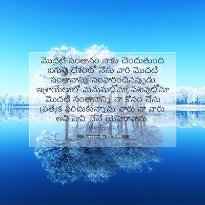 Picture 07 - సంఖ్యాకాండం 3:13 TELIRV - మొదటి సంతానం నాకు - Bible Verse Picture