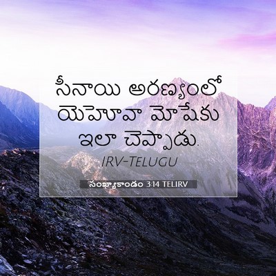 Picture 07 - సంఖ్యాకాండం 3:14 TELIRV - సీనాయి అరణ్యంలో - Bible Verse Picture