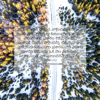 Picture 07 - సంఖ్యాకాండం 3:15 TELIRV - “లేవీ వంశానికి - Bible Verse Picture