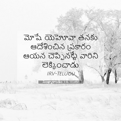 Picture 07 - సంఖ్యాకాండం 3:16 TELIRV - మోషే యెహోవా తనకు - Bible Verse Picture