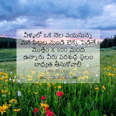 Picture 07 - సంఖ్యాకాండం 3:28 TELIRV - వీళ్ళలో ఒక నెల - Bible Verse Picture