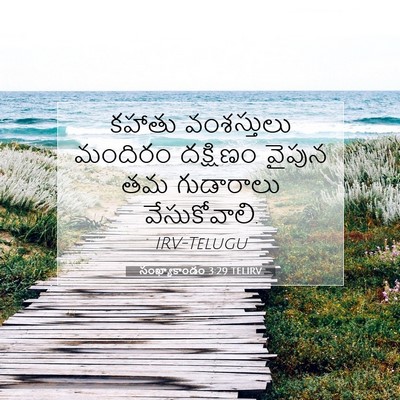 Picture 07 - సంఖ్యాకాండం 3:29 TELIRV - కహాతు వంశస్తులు - Bible Verse Picture