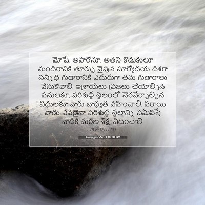 Picture 07 - సంఖ్యాకాండం 3:38 TELIRV - మోషే, అహరోనూ, అతని - Bible Verse Picture