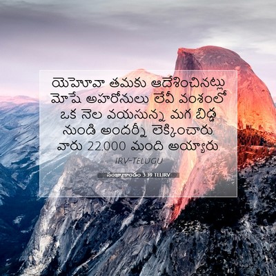 Picture 07 - సంఖ్యాకాండం 3:39 TELIRV - యెహోవా తమకు - Bible Verse Picture