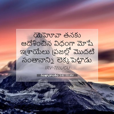 Picture 07 - సంఖ్యాకాండం 3:42 TELIRV - యెహోవా తనకు - Bible Verse Picture