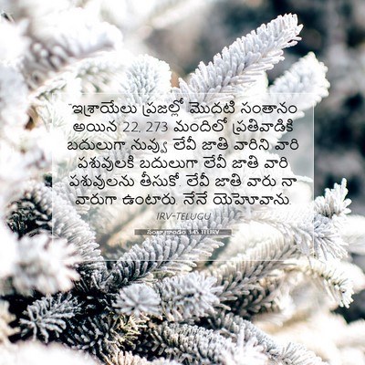 Picture 07 - సంఖ్యాకాండం 3:45 TELIRV - “ఇశ్రాయేలు - Bible Verse Picture