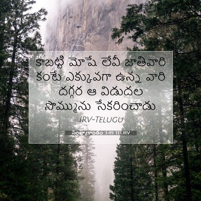 Picture 07 - సంఖ్యాకాండం 3:49 TELIRV - కాబట్టి మోషే లేవీ - Bible Verse Picture