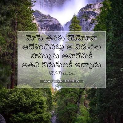 Picture 07 - సంఖ్యాకాండం 3:51 TELIRV - మోషే తనకు యెహోవా - Bible Verse Picture