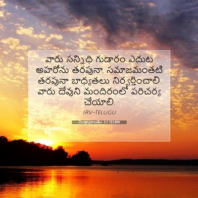 Picture 07 - సంఖ్యాకాండం 3:7 TELIRV - వారు సన్నిధి - Bible Verse Picture