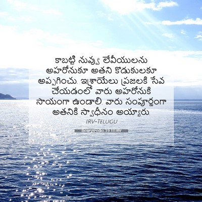 Picture 07 - సంఖ్యాకాండం 3:9 TELIRV - కాబట్టి నువ్వు - Bible Verse Picture