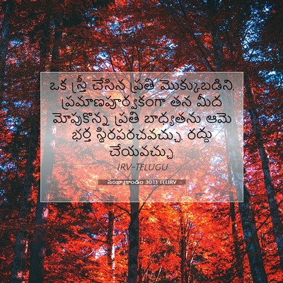 Picture 07 - సంఖ్యాకాండం 30:13 TELIRV - ఒక స్త్రీ చేసిన - Bible Verse Picture