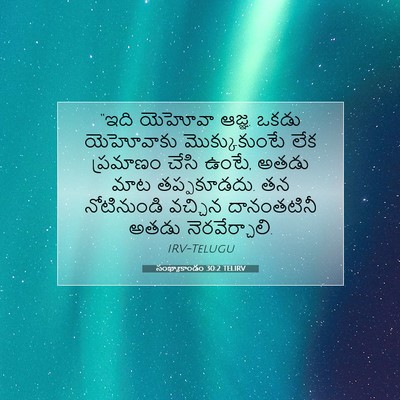 Picture 07 - సంఖ్యాకాండం 30:2 TELIRV - “ఇది యెహోవా ఆజ్ఞ. - Bible Verse Picture