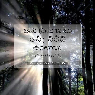 Picture 07 - సంఖ్యాకాండం 30:4 TELIRV - ఆమె ప్రమాణాలు - Bible Verse Picture