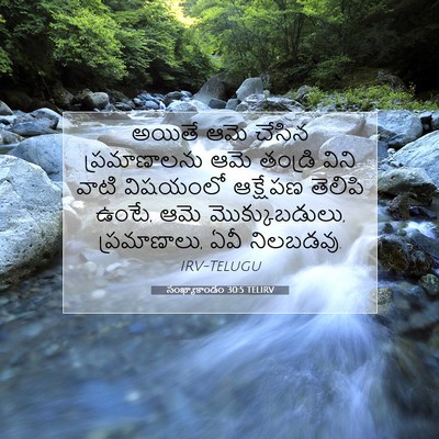 Picture 07 - సంఖ్యాకాండం 30:5 TELIRV - అయితే ఆమె చేసిన - Bible Verse Picture