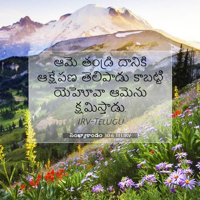 Picture 07 - సంఖ్యాకాండం 30:6 TELIRV - ఆమె తండ్రి దానికి - Bible Verse Picture