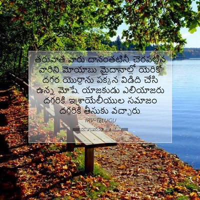 Picture 07 - సంఖ్యాకాండం 31:12 TELIRV - తరువాత వారు - Bible Verse Picture