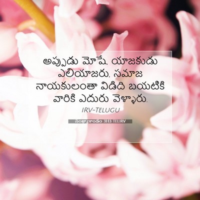 Picture 07 - సంఖ్యాకాండం 31:13 TELIRV - అప్పుడు మోషే, - Bible Verse Picture