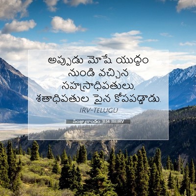 Picture 07 - సంఖ్యాకాండం 31:14 TELIRV - అప్పుడు మోషే - Bible Verse Picture