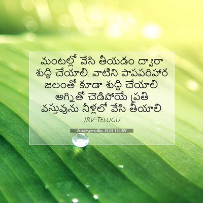 Picture 07 - సంఖ్యాకాండం 31:23 TELIRV - మంటల్లో వేసి - Bible Verse Picture