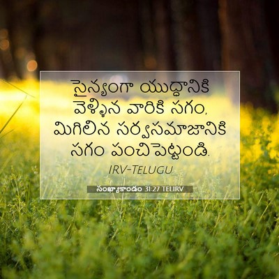 Picture 07 - సంఖ్యాకాండం 31:27 TELIRV - సైన్యంగా - Bible Verse Picture