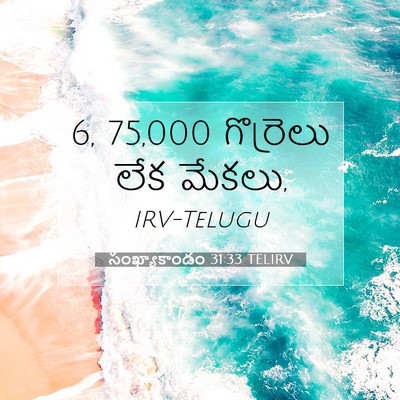Picture 07 - సంఖ్యాకాండం 31:33 TELIRV - 6, 75,000 గొర్రెలు లేక - Bible Verse Picture