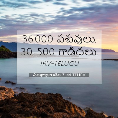 Picture 07 - సంఖ్యాకాండం 31:44 TELIRV - 36,000 పశువులు, 30, 500 - Bible Verse Picture