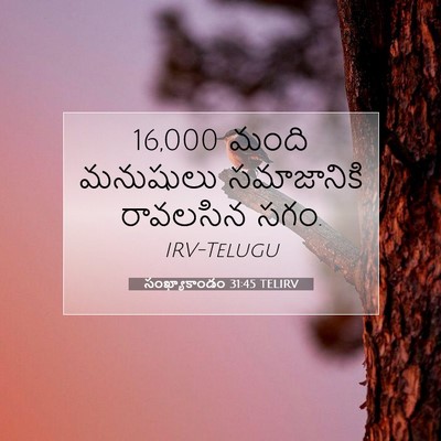 Picture 07 - సంఖ్యాకాండం 31:45 TELIRV - 16,000 మంది మనుషులు - Bible Verse Picture