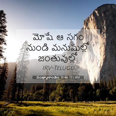 Picture 07 - సంఖ్యాకాండం 31:46 TELIRV - మోషే ఆ సగం నుండి - Bible Verse Picture