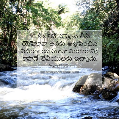 Picture 07 - సంఖ్యాకాండం 31:47 TELIRV - 50 కి ఒకటి చొప్పున - Bible Verse Picture