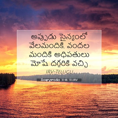 Picture 07 - సంఖ్యాకాండం 31:48 TELIRV - అప్పుడు సైన్యంలో - Bible Verse Picture