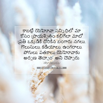 Picture 07 - సంఖ్యాకాండం 31:50 TELIRV - కాబట్టి యెహోవా - Bible Verse Picture