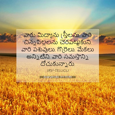 Picture 07 - సంఖ్యాకాండం 31:9 TELIRV - వారు మిద్యాను - Bible Verse Picture