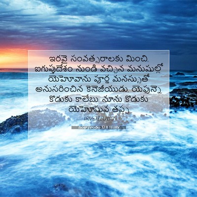 Picture 07 - సంఖ్యాకాండం 32:11 TELIRV - ఇరవై సంవత్సరాలకు - Bible Verse Picture