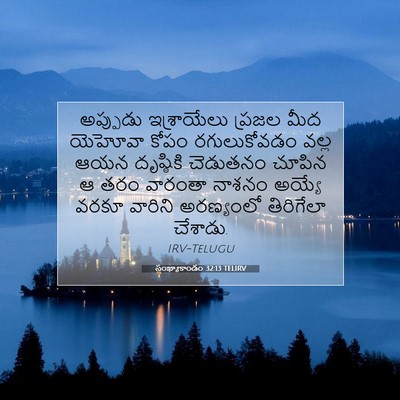 Picture 07 - సంఖ్యాకాండం 32:13 TELIRV - అప్పుడు ఇశ్రాయేలు - Bible Verse Picture
