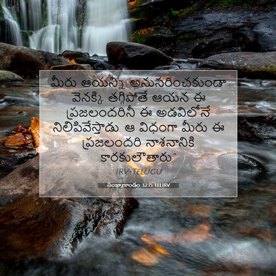 Picture 07 - సంఖ్యాకాండం 32:15 TELIRV - మీరు ఆయన్ని - Bible Verse Picture
