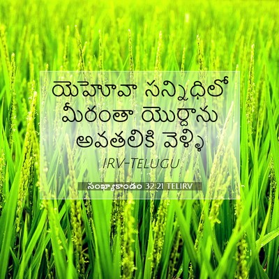 Picture 07 - సంఖ్యాకాండం 32:21 TELIRV - యెహోవా సన్నిధిలో - Bible Verse Picture