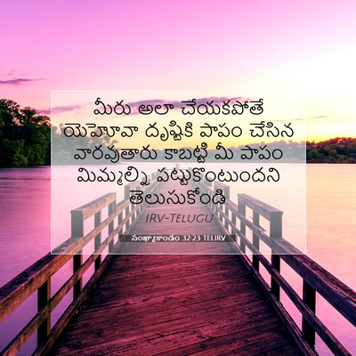 Picture 07 - సంఖ్యాకాండం 32:23 TELIRV - మీరు అలా చేయకపోతే - Bible Verse Picture