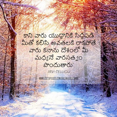 Picture 07 - సంఖ్యాకాండం 32:30 TELIRV - కాని వారు - Bible Verse Picture
